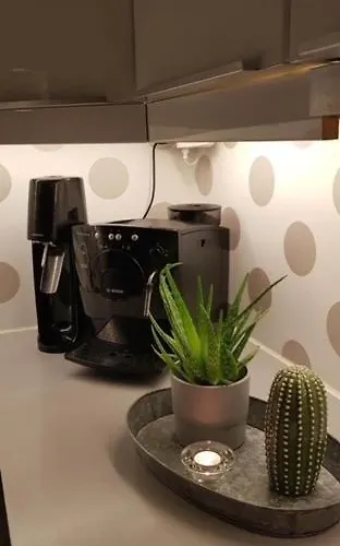 Sentralt 10 Minutt Med Buss Til Sentrum Apartament *